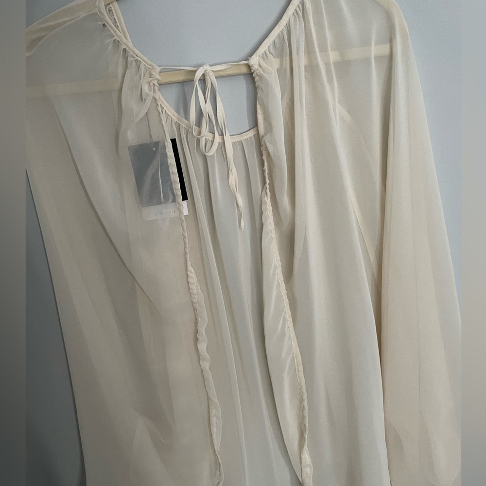 Zara Sheer Open Back Top - Picture 11 of 13